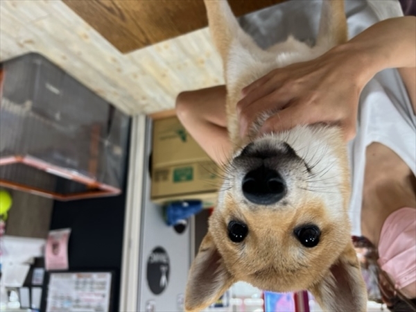 写真