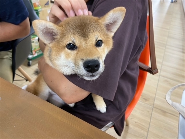 写真