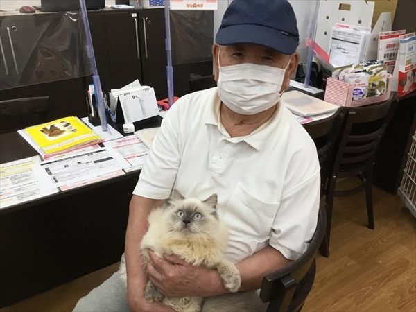 写真