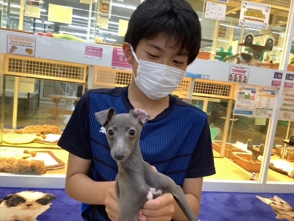 写真