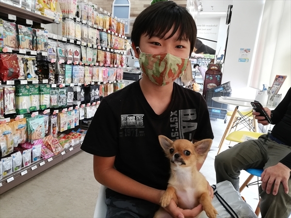 写真