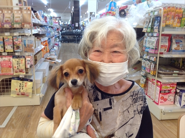 写真
