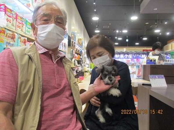 写真