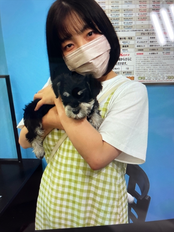 写真