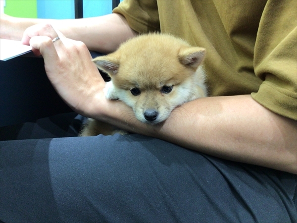 写真