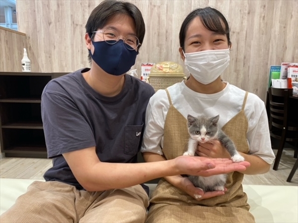 写真
