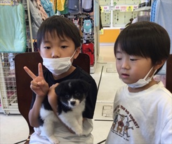 写真