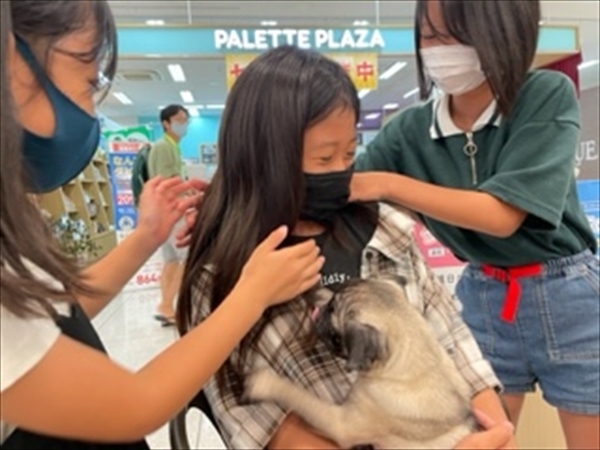 写真