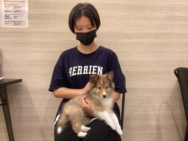 写真