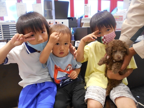 写真