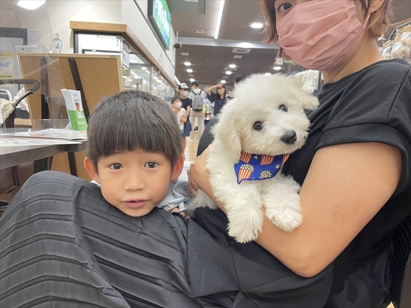 写真