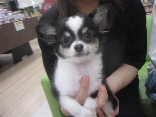 写真