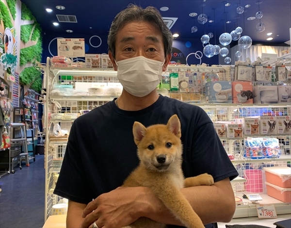 写真