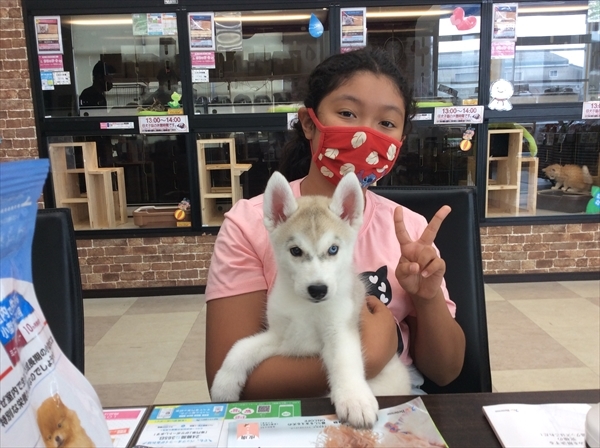 写真