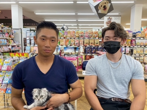 写真