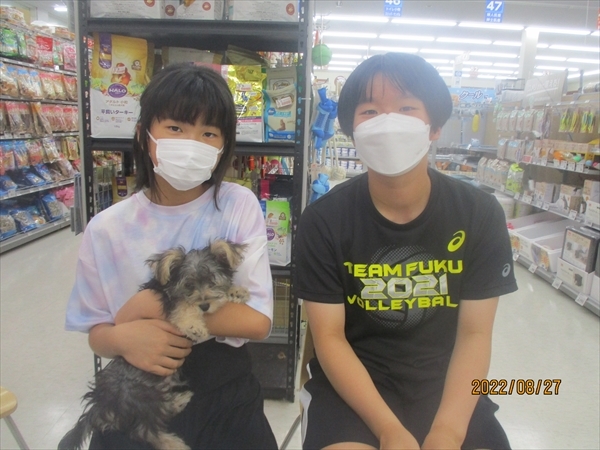 写真