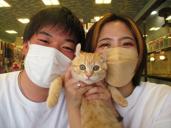 写真