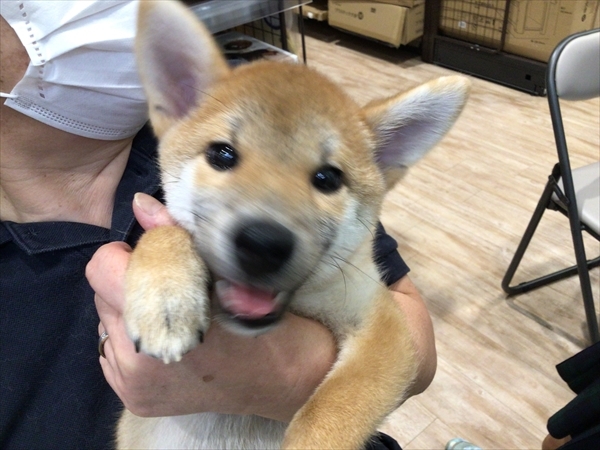 写真