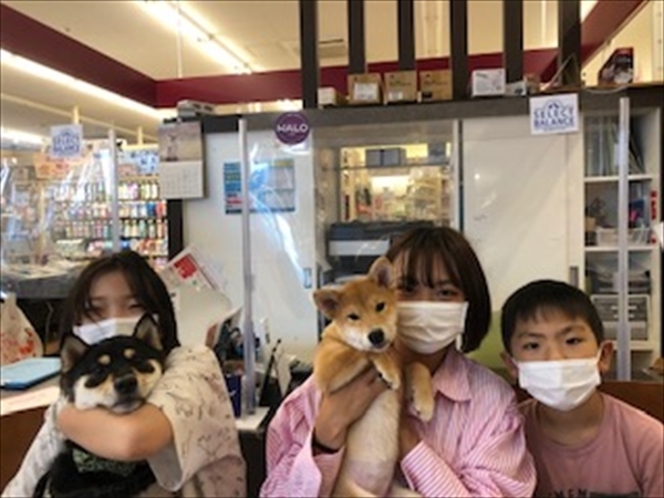 写真
