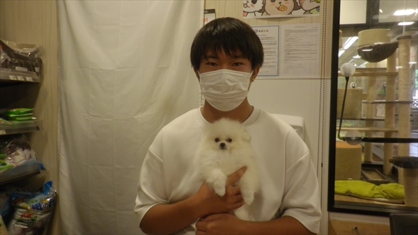 写真