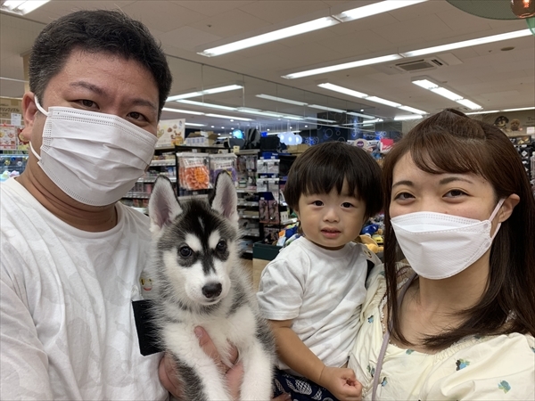 写真
