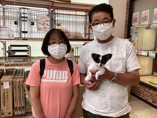 写真