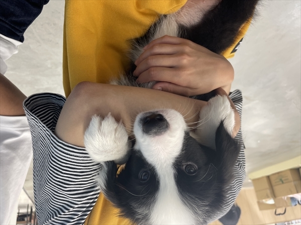 写真