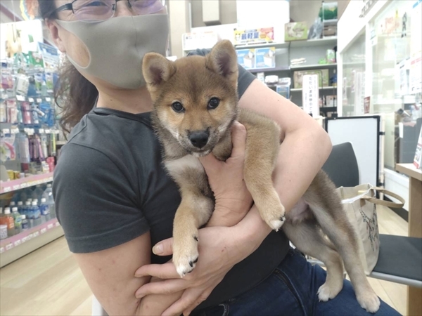 写真