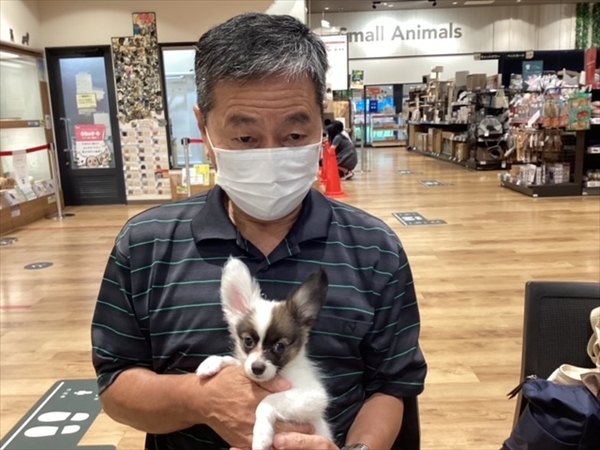 写真
