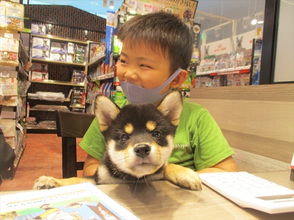 写真