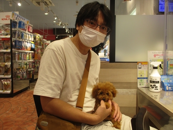 写真