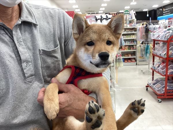 写真
