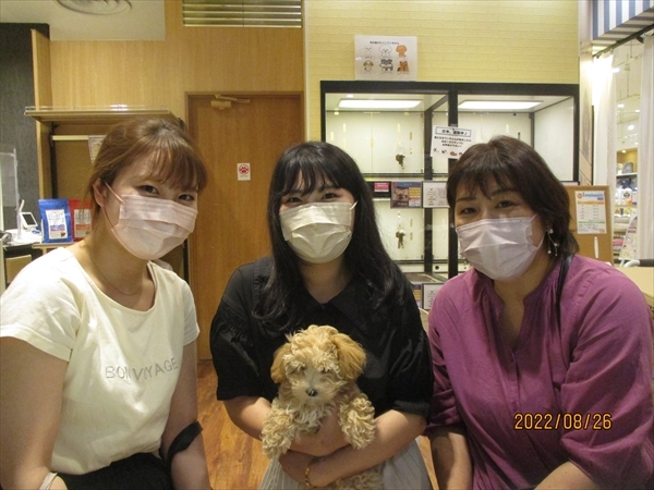 写真