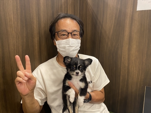 写真