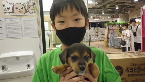 写真