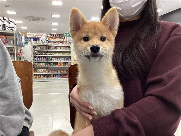 写真