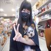 写真