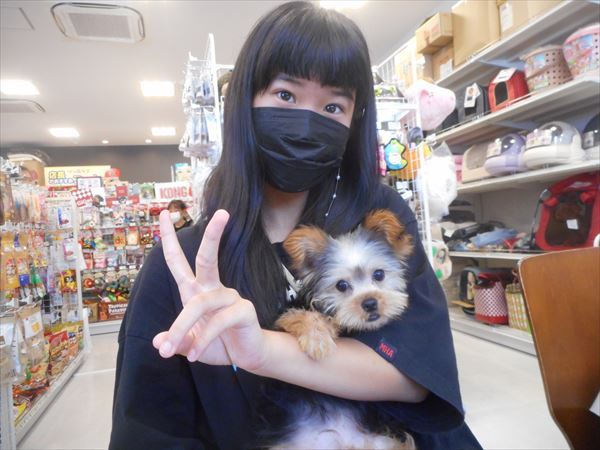 写真