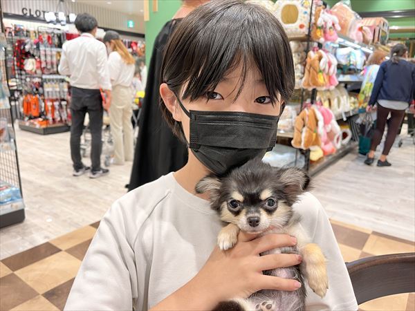 写真