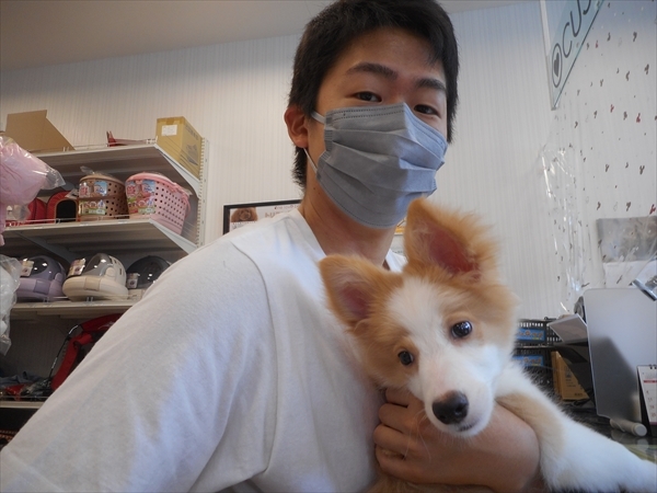 写真