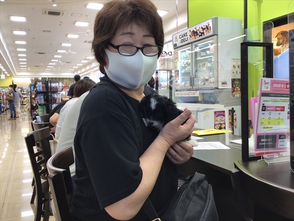 写真