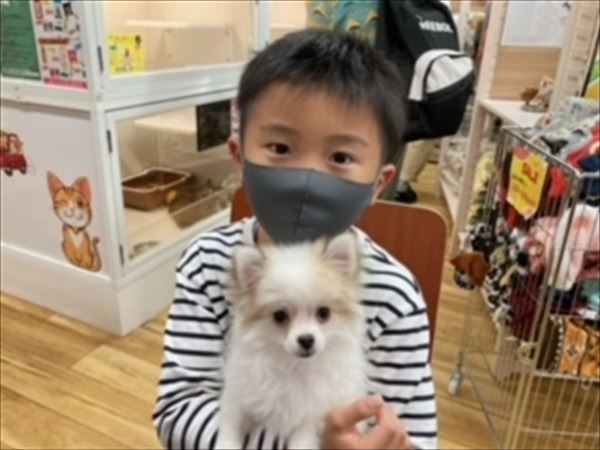 写真