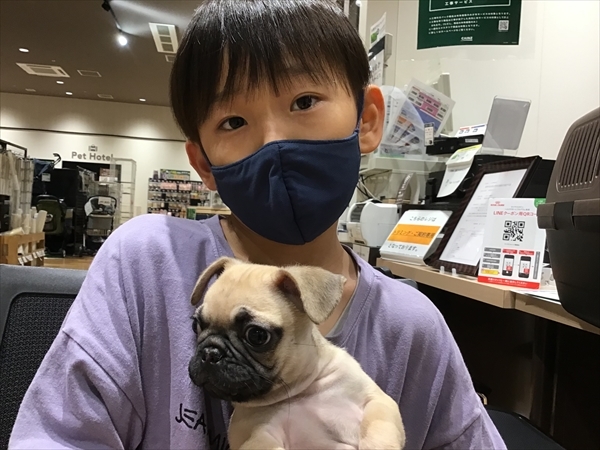 写真