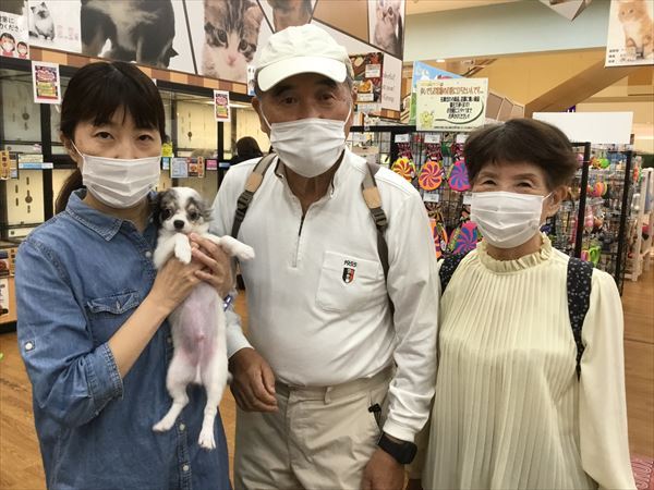 写真