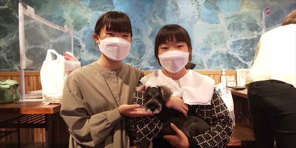 写真
