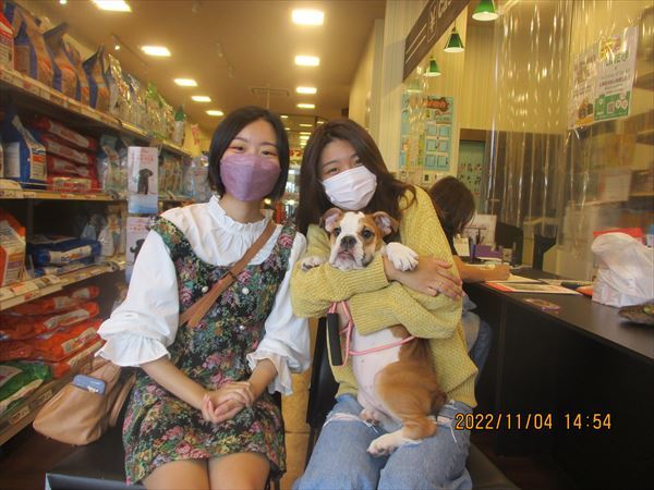 写真