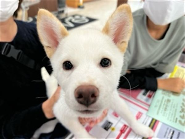 写真