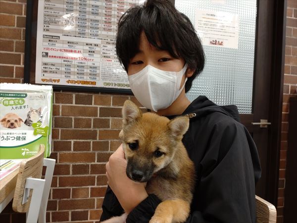 写真