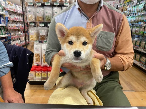 写真