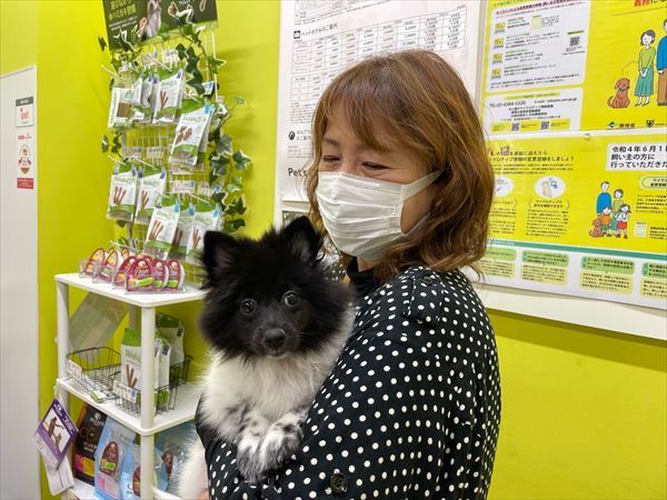写真